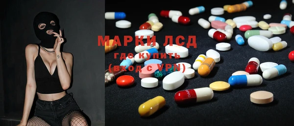 spice Новодвинск
