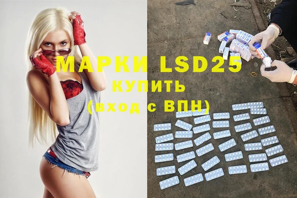 spice Новодвинск
