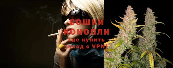 spice Новодвинск