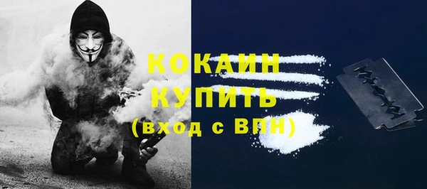 spice Новодвинск