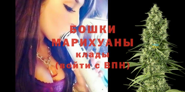 spice Новодвинск